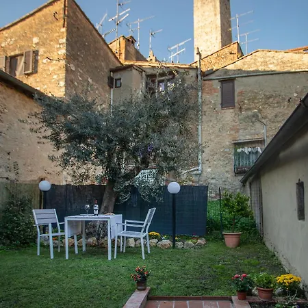 L'olivo *